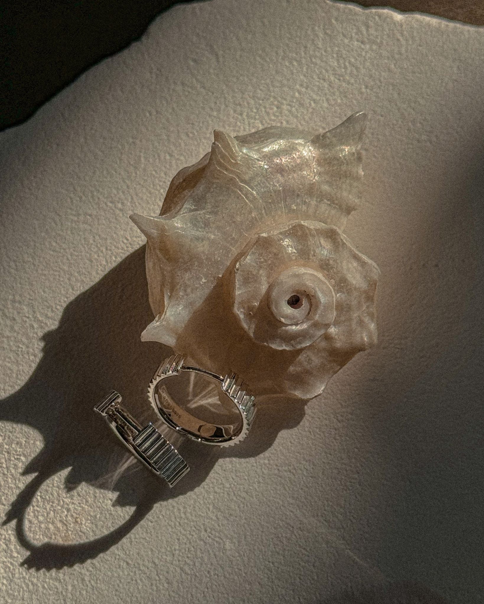 Mantra Medium Hoops - Midori Jewelry Co.