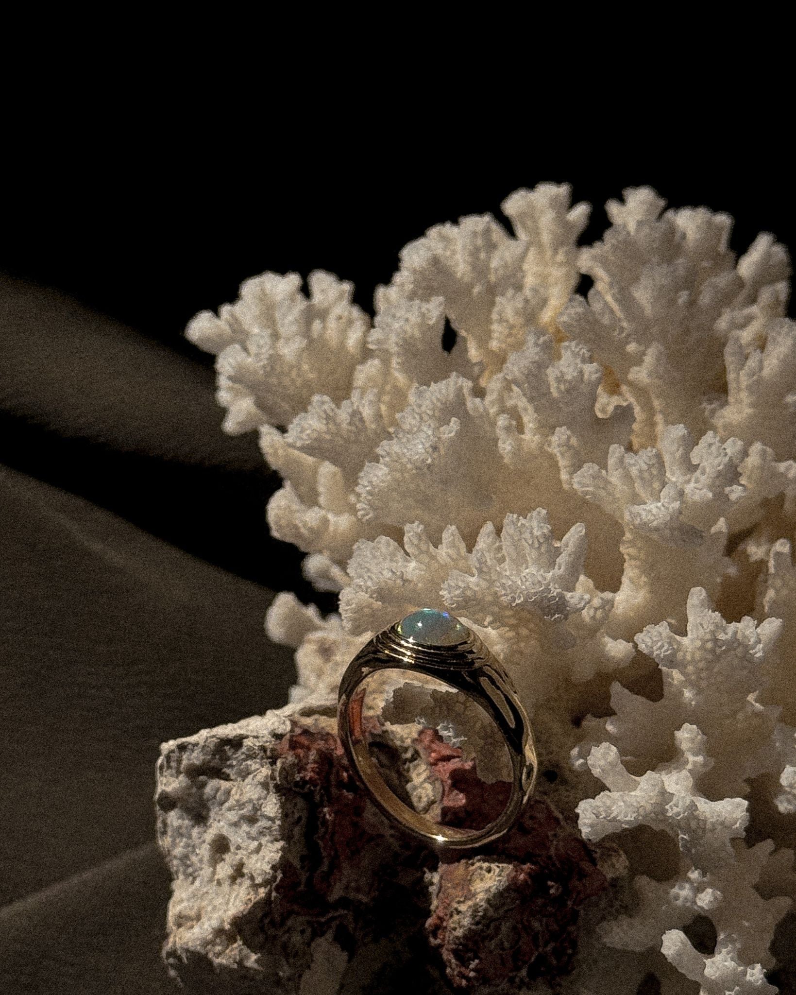 Ripple Signet Ring - Midori Jewelry Co.