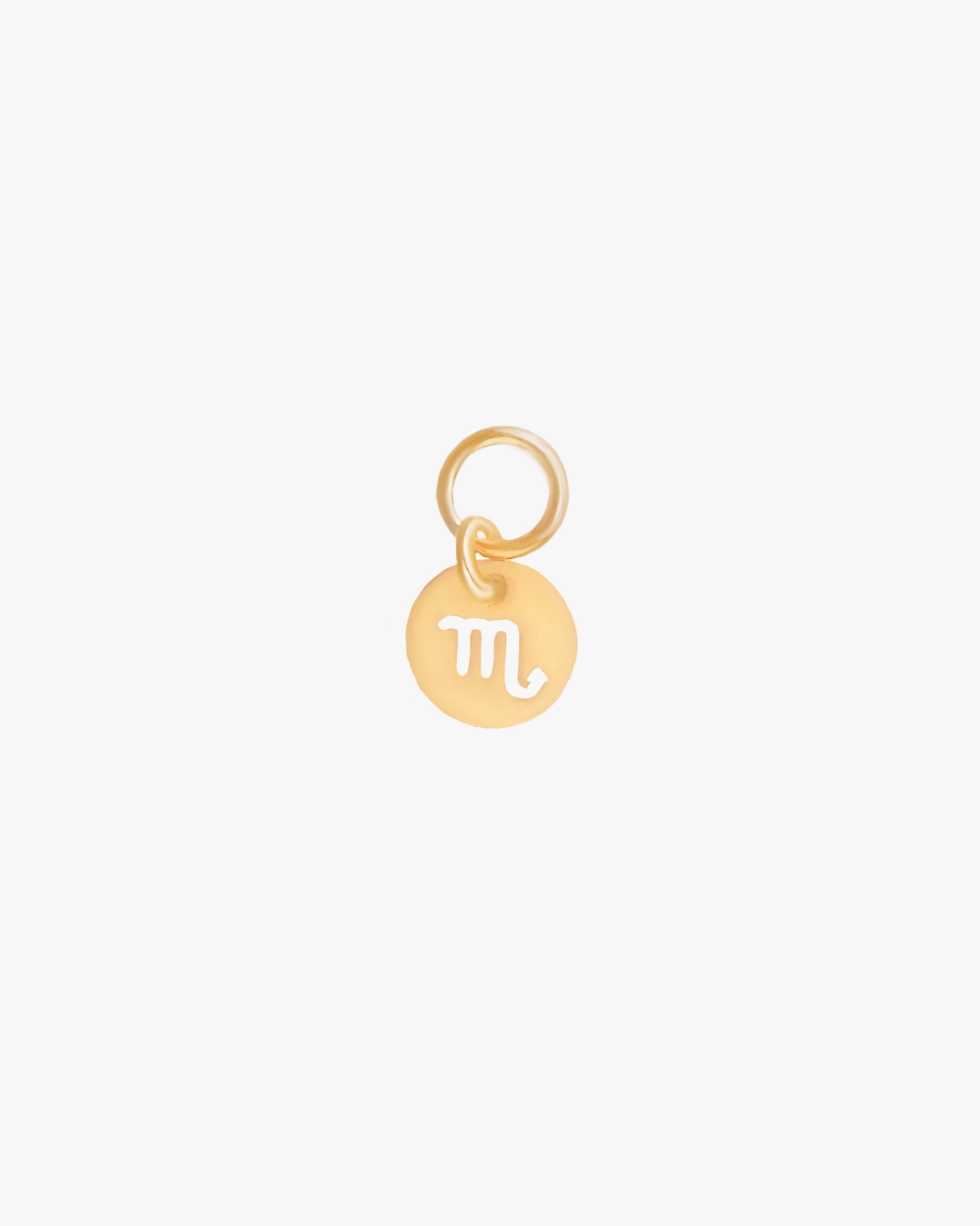 Zodiac Charm / Gold-Filled - Midori Jewelry Co.