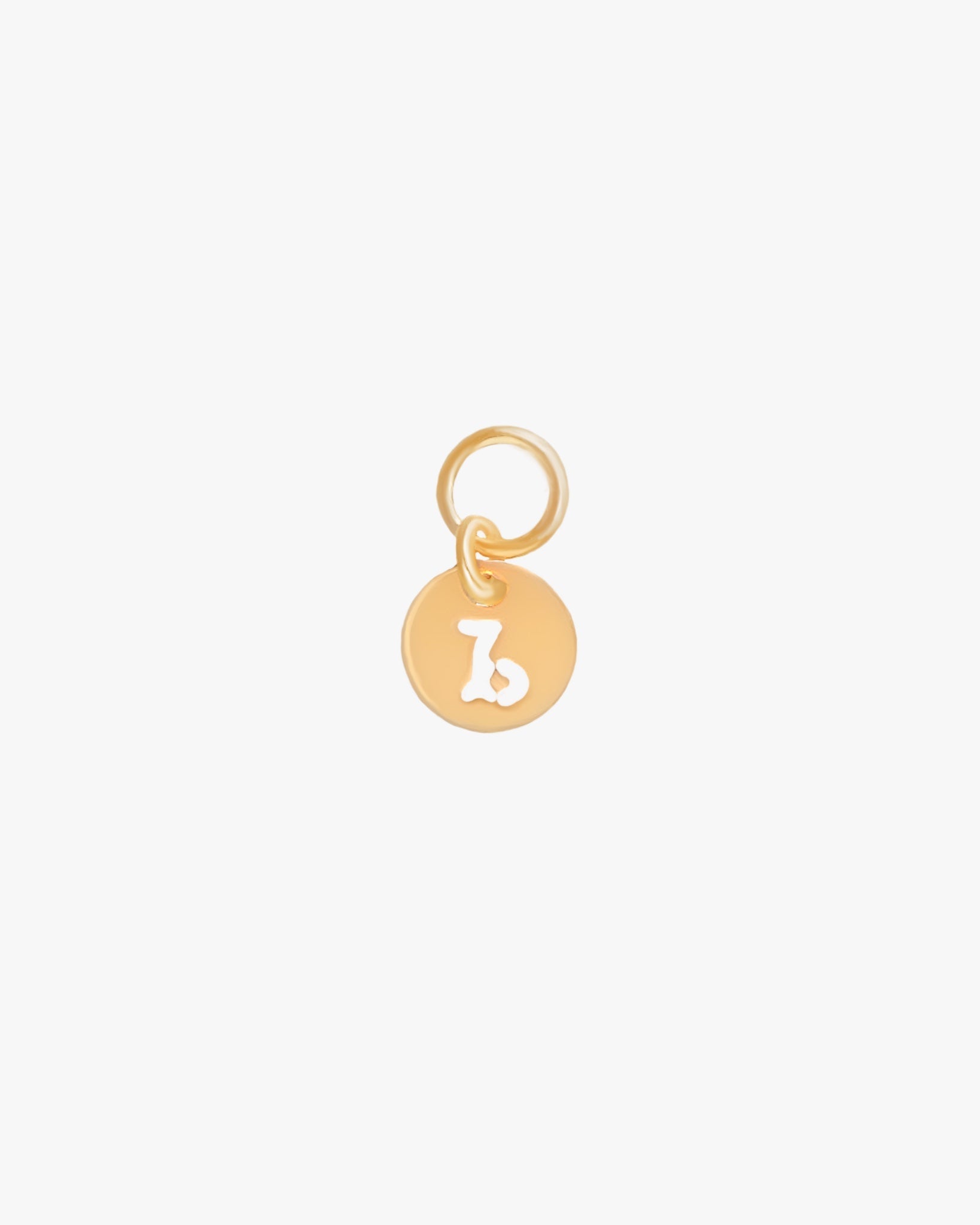 Zodiac Charm / Gold-Filled - Midori Jewelry Co.