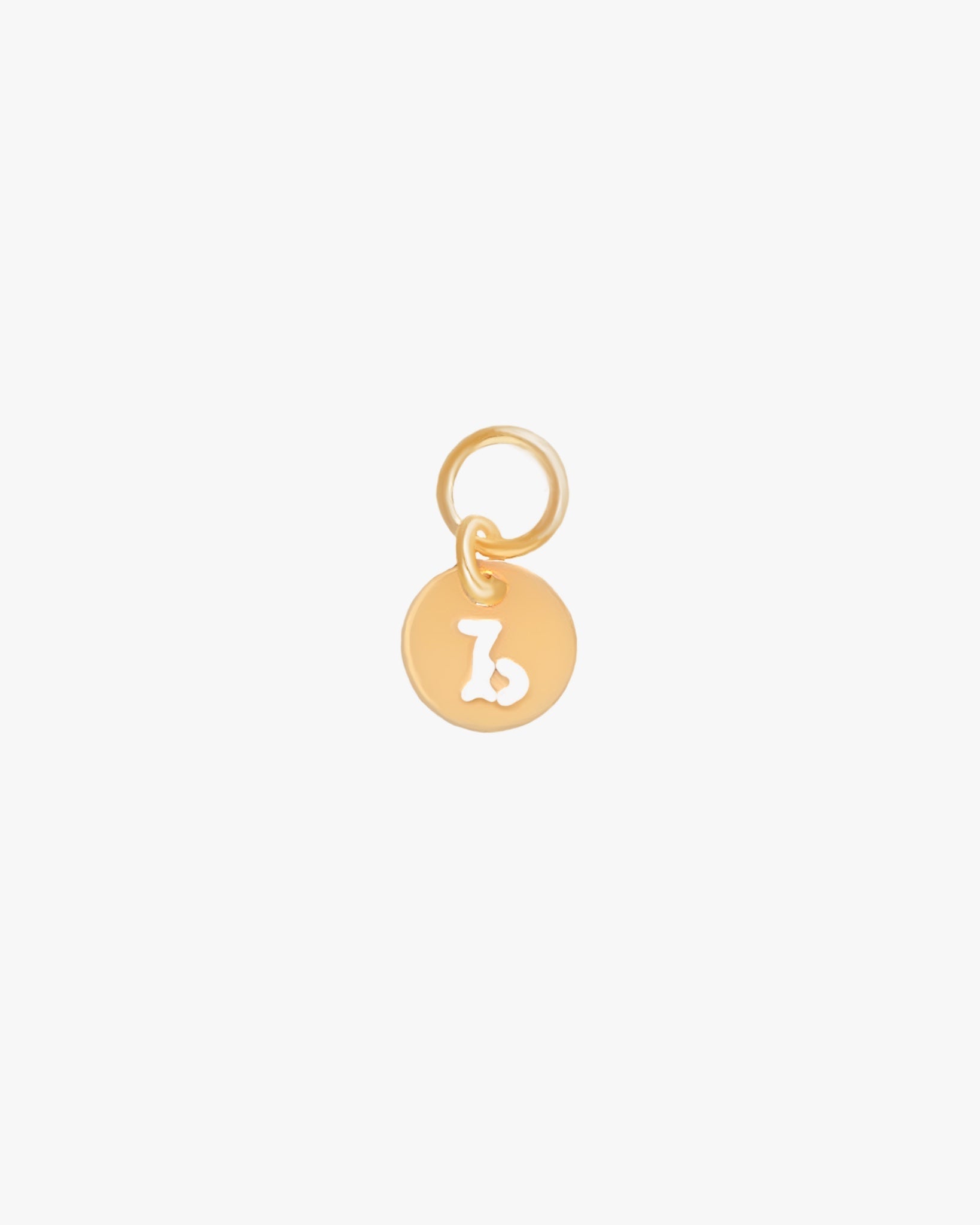 Zodiac Charm / Gold-Filled - Midori Jewelry Co.