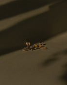 Drift Stars Stud - Midori Jewelry Co.