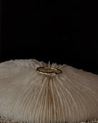 Ouroboros Snake Ring - Midori Jewelry Co.