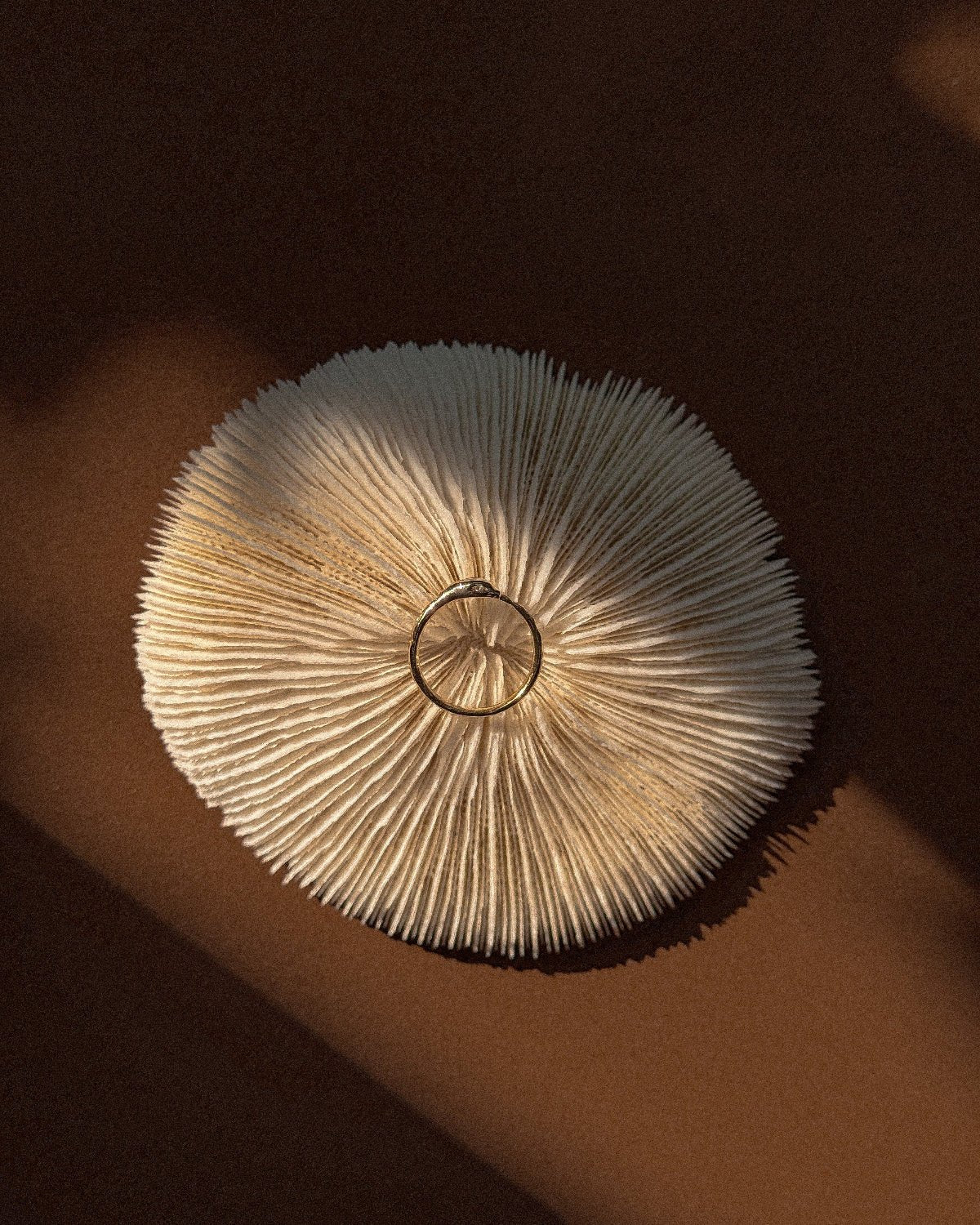 Ouroboros Snake Ring - Midori Jewelry Co.