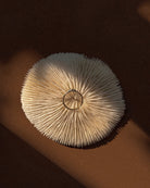 Ouroboros Snake Ring - Midori Jewelry Co.