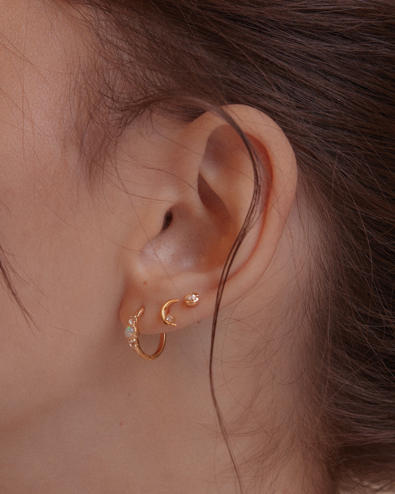 Rose Flower Earrings in Gold | Helen Ficalora