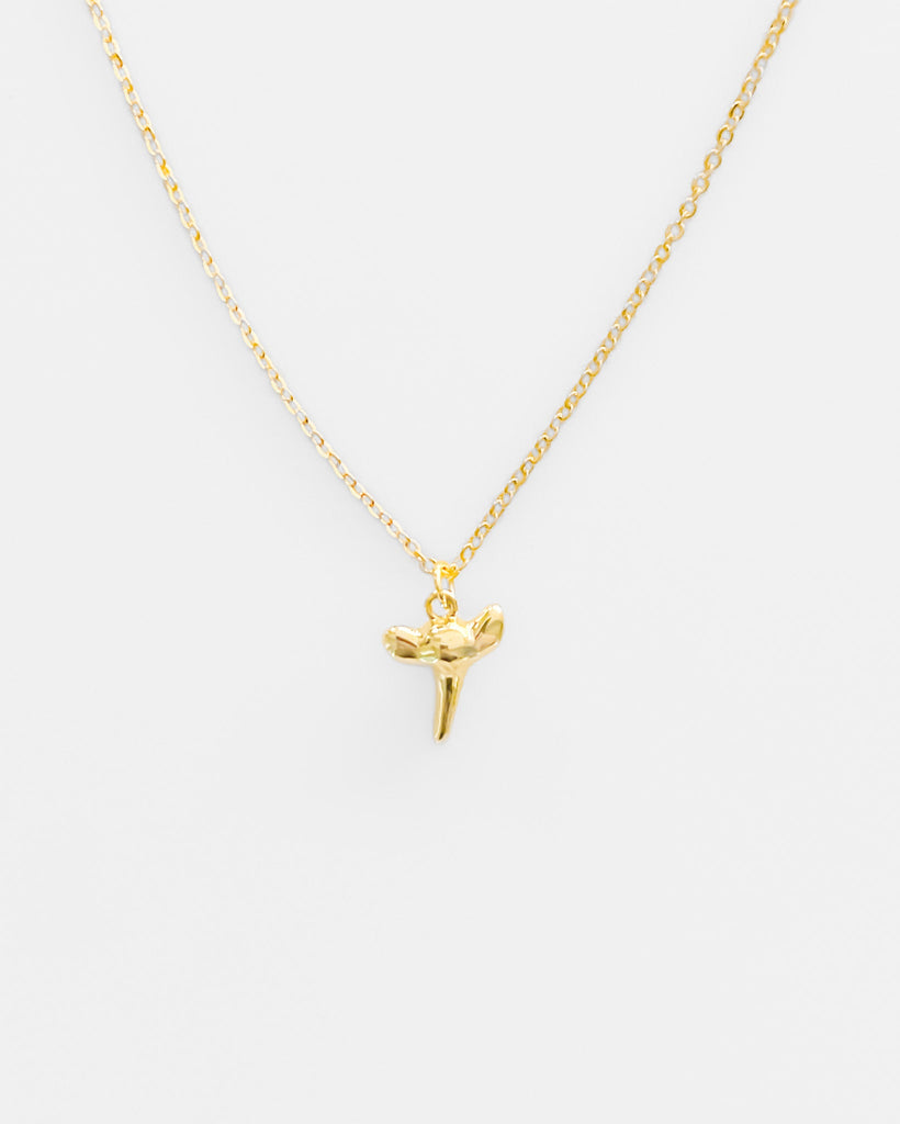 Shark Tooth Necklace / Gold-Filled - Midori Jewelry Co.