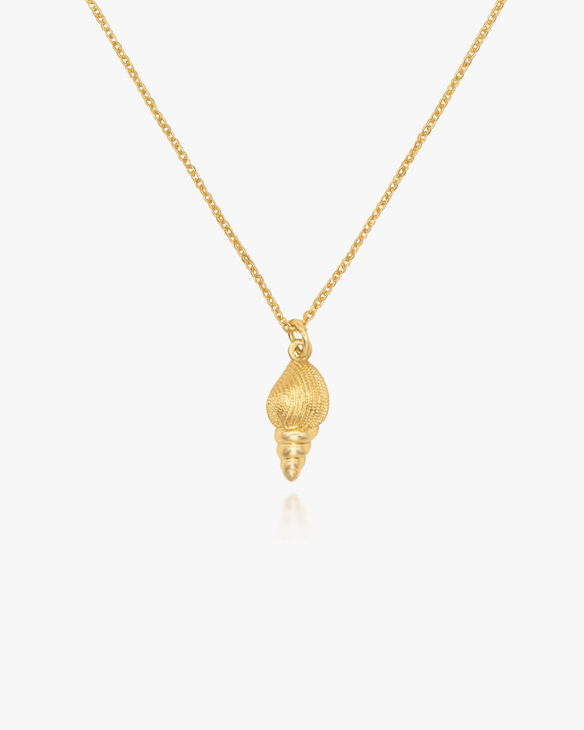 Textured Conch Shell Necklace / Gold-Filled - Midori Jewelry Co.