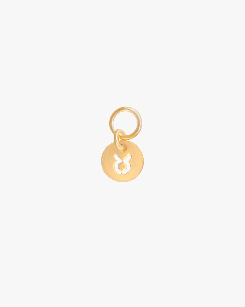 Zodiac Charm / Gold-Filled - Midori Jewelry Co.